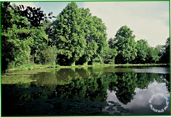 Adlestrop